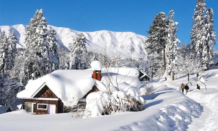 ಜಮ್ಮು-ಕಾಶ್ಮೀರ: ಗುಲ್ಮಾರ್ಗ್​ನಲ್ಲಿ ಭಾರೀ ಹಿಮಪಾತ; ಇಬ್ಬರು ವಿದೇಶಿ ಪ್ರವಾಸಿಗರು ಮೃತ್ಯು