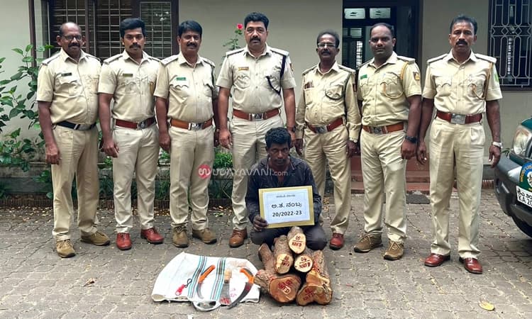 ಉಡುಪಿ: ನಾಗಬನದಲ್ಲಿ ಶ್ರೀಗಂಧ ಮರ ಕಳವು… ಆರೋಪಿ ಬಂಧನ, ಸೊತ್ತು ವಶ