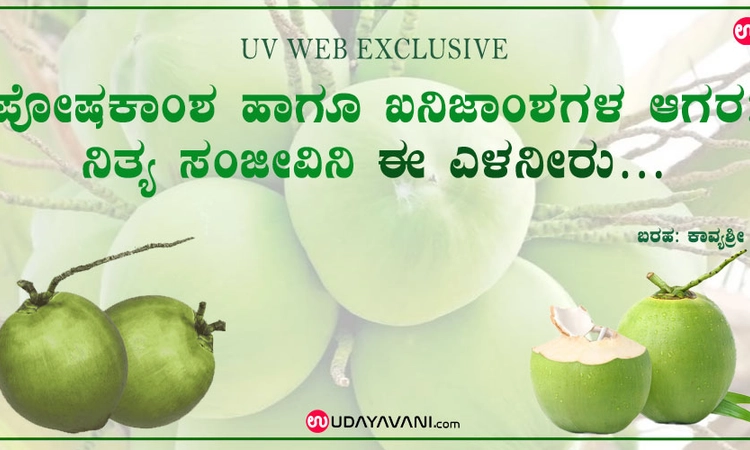 ಪೋಷಕಾಂಶ ಹಾಗೂ ಖನಿಜಾಂಶಗಳ ಆಗರ: ನಿತ್ಯ ಸಂಜೀವಿನಿ ಈ ಎಳನೀರು…
