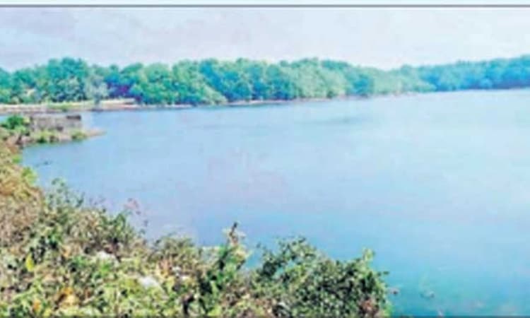 ವಾರಾಹಿ ನೀರಿನಿಂದ ನಳನಳಿಸುತ್ತಿದೆ ಶಿರಿಯಾರ ಜೀವಸೆಲೆ ಮದಗ