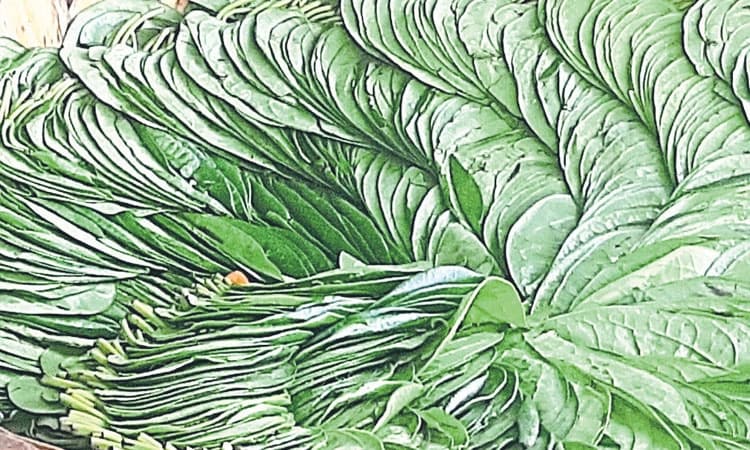 ದಶಕದ ಬಳಿಕ ವೀಳ್ಯದೆಲೆಗೆ ಚಿನ್ನದ ಬೆಲೆ