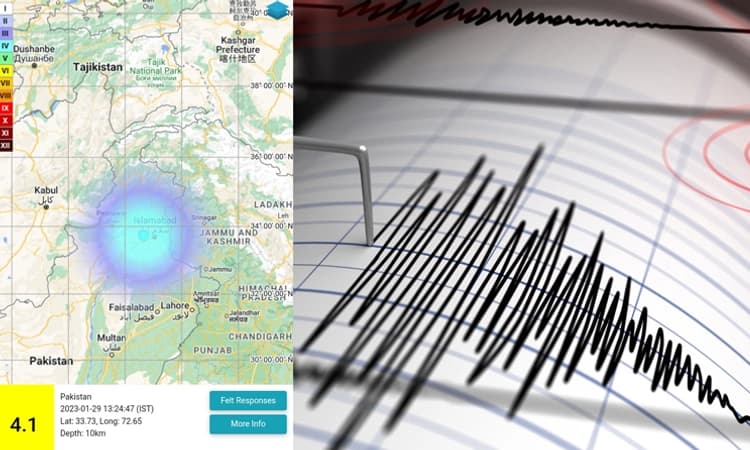 ಪಾಕಿಸ್ತಾನದಲ್ಲಿ 4.1 ತೀವ್ರತೆಯ ಭೂಕಂಪ: ಕಳೆದ 10 ದಿನದಲ್ಲಿ 2ನೇ ಬಾರಿ ಕಂಪಿಸಿದ ಭೂಮಿ