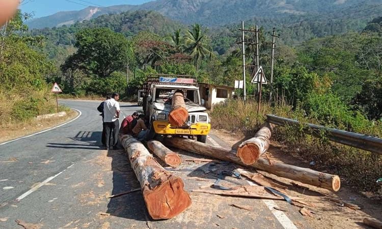 ಮಡಿಕೇರಿ: ಲಾರಿಯಿಂದ ಜೀಪಿನ ಗಾಜು ಸೀಳಿ ಒಳ ಹೊಕ್ಕ ದಿಮ್ಮಿ!