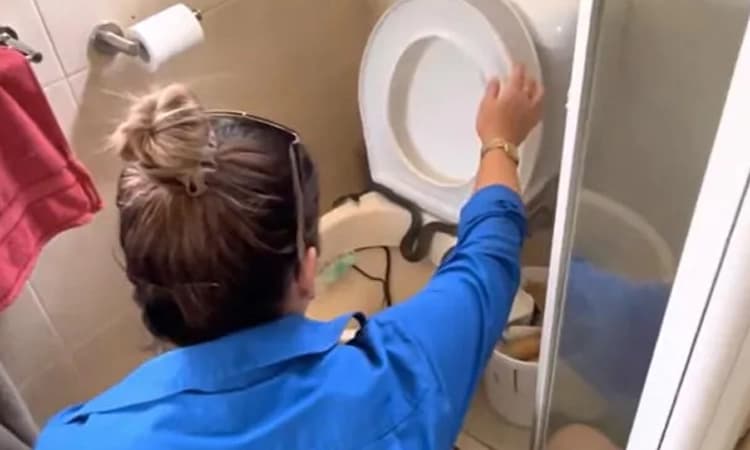 ಶೌಚಾಲಯದೊಳಗಿದ್ದ 4 ಅಡಿ ಉದ್ದದ ಹಾವನ್ನು ಕಂಡು ಬೆಚ್ಚಿ ಬಿದ್ದ ಮನೆ ಮಾಲೀಕ…