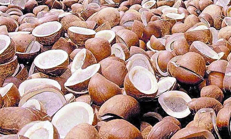 ಕೊಬ್ಬರಿ ಖರೀದಿಗೆ ಕೇಂದ್ರ ಸರಕಾರ ಅನುಮತಿ