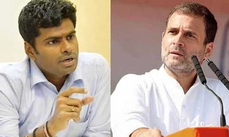 ದೇಶದಲ್ಲಿ ದ್ವೇಷದ ವಾತಾವರಣ ಇಲ್ಲ ಎಂಬುದನ್ನು ಅರ್ಥ ಮಾಡಿಕೊಳ್ಳಲು ರಾಹುಲ್ 3,000 ಕಿ.ಮೀ. ನಡೆಯಬೇಕಾಯಿತು!