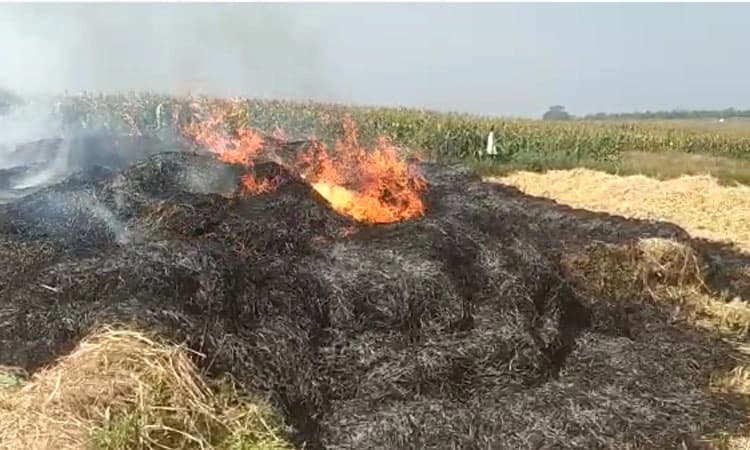 ಹುಣಸೂರು: ಆಕಸ್ಮಿಕ ಬೆಂಕಿಗೆ ಭತ್ತ ಸಹಿತ ಹುಲ್ಲು ಭಸ್ಮ