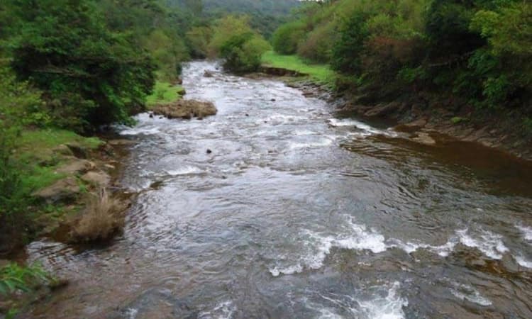 ಮಹದಾಯಿ ನದಿ ನೀರು ತಿರುಗಿಸುವುದರಿಂದ ಜನಜೀವನದ ಮೇಲೆ ಪರಿಣಾಮ: ಮಧು ಗಾಂವಕರ್