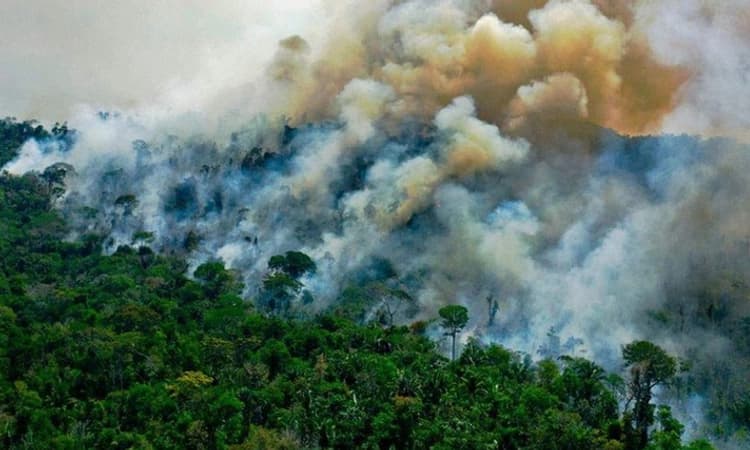 5 ವರ್ಷಗಳಲ್ಲಿ 32,066 ಕಾಳ್ಗಿಚ್ಚು! ನಿಯಂತ್ರಣಕ್ಕೆ ತಂತ್ರಜ್ಞಾನದ ಮೊರೆ ಹೋದ ಸರಕಾರ