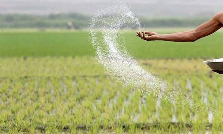ರಸಗೊಬ್ಬರಗಳಿಗೆ ಕ್ಯೂರ್‌ಕೋಡ್‌ ಕಡ್ಡಾಯ: ಆಗಸ್ಟ್‌ 1ರಿಂದಲೇ ಹೊಸ ಕ್ರಮ ಜಾರಿಗೆ
