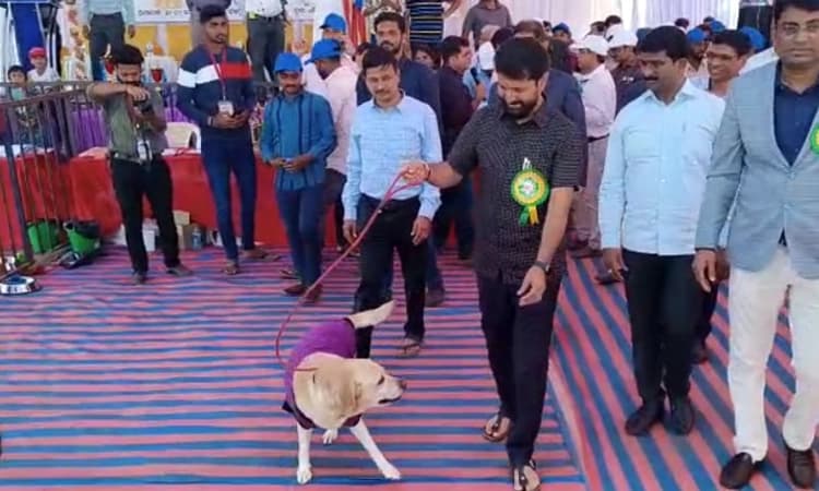 ಚಿಕ್ಕಮಗಳೂರು ಹಬ್ಬ: ಚಾರ್ಲಿ 777 ಶ್ವಾನದೊಂದಿಗೆ ಸಿ.ಟಿ.ರವಿ ರೌಂಡ್ಸ್