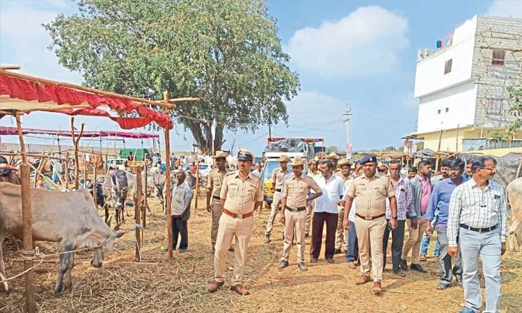 ಘಾಟಿ ಜಾತ್ರೆಯಲ್ಲಿ ಸೇರಿದ್ದ ರಾಸುಗಳ ತೆರವು