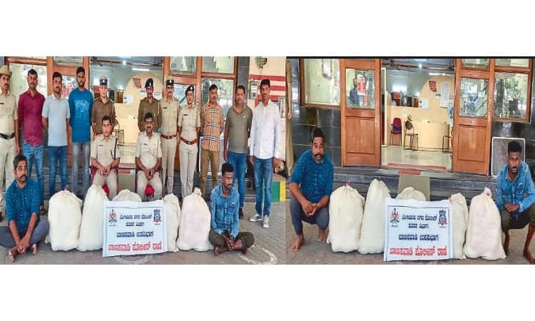 30 ಲಕ್ಷ ಮೌಲ್ಯದ ಕ್ವಿಂಟಲ್‌ ಗಾಂಜಾ ಜಪ್ತಿ