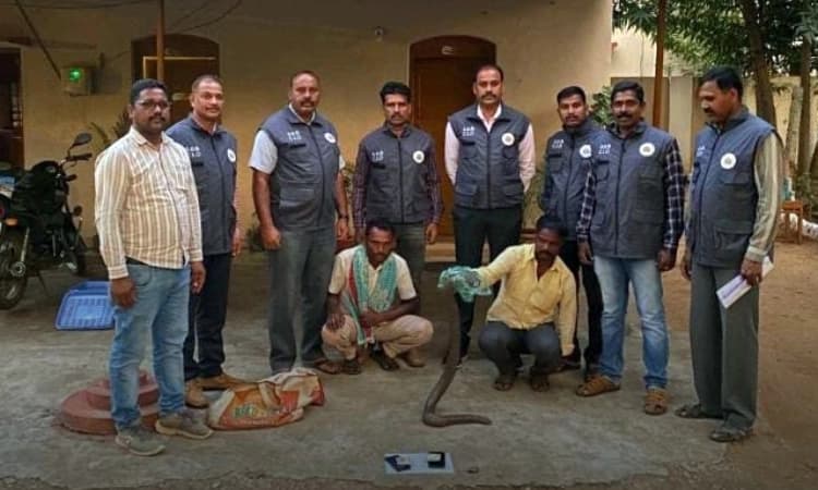 ಇರ್ತಲೆ ಹಾವು ಮಾರಾಟ ಜಾಲ ಪತ್ತೆ: ಇಬ್ಬರು ಪೊಲೀಸರ ವಶಕ್ಕೆ