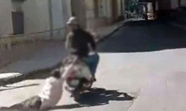 ವೃದ್ಧನನ್ನು ಬೈಕ್‌ ನಲ್ಲಿ ಕಿ.ಮೀ. ಎಳೆದೊಯ್ದ ಯುವಕ