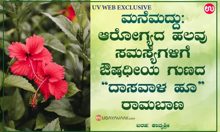 ಮನೆಮದ್ದು: ಆರೋಗ್ಯದ ಹಲವು ಸಮಸ್ಯೆಗಳಿಗೆ ಔಷಧೀಯ ಗುಣದ “ದಾಸವಾಳ ಹೂ” ರಾಮಬಾಣ