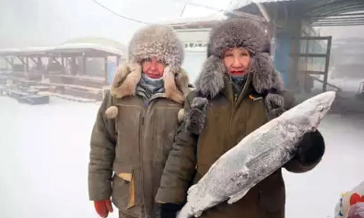 ಚಳಿಗೆ ಕ್ಯಾಬೇಜ್‌ ಮಾದರಿ ವಸ್ತ್ರ ಧರಿಸಿ!