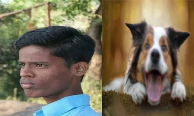 ಶ್ವಾನಭೀತಿ: ಕಟ್ಟಡದಿಂದ ಜಿಗಿದ ಡೆಲಿವರಿ ಬಾಯ್‌ ಸಾವು