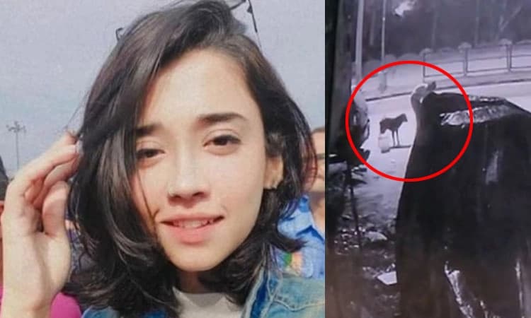 ಬೀದಿ ನಾಯಿಗೆ ಆಹಾರ ನೀಡುವ ವೇಳೆ ಯುವತಿ ಮೇಲೆ ಹರಿದ ಕಾರು: ಗಂಭೀರ