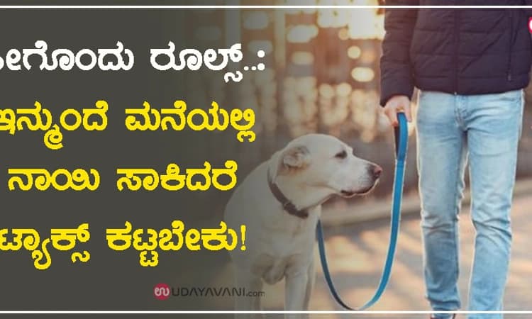 ಹೀಗೊಂದು ರೂಲ್ಸ್..: ಇನ್ಮುಂದೆ ಮನೆಯಲ್ಲಿ ನಾಯಿ ಸಾಕಿದರೆ ಟ್ಯಾಕ್ಸ್ ಕಟ್ಟಬೇಕು!