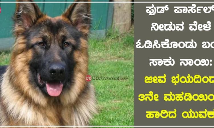 ಫುಡ್‌ ಪಾರ್ಸೆಲ್‌ ನೀಡುವ ವೇಳೆ ಓಡಿಸಿಕೊಂಡು ಬಂದ ಸಾಕು ನಾಯಿ: ಜೀವ ಭಯದಿಂದ 3ನೇ ಮಹಡಿಯಿಂದ ಹಾರಿದ ಯುವಕ