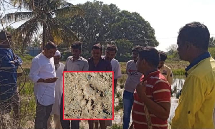 ನಿಲ್ಲದ ಚಿರತೆ ಕಾಟ…;ಕಂಗಾಲಾದ ಕೊರಟಗೆರೆ ತಾಲೂಕಿನ ಜನತೆ