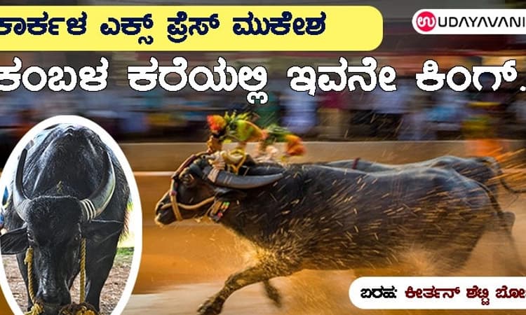 ಕಂಬಳ ಕರೆಯಲ್ಲಿ ಇವನೇ ಕಿಂಗ್.. ಮೊದಲ ಸೂಪರ್ ಸ್ಟಾರ್ “ಕಾರ್ಕಳ ಎಕ್ಸ್ ಪ್ರೆಸ್ ಮುಕೇಶ”