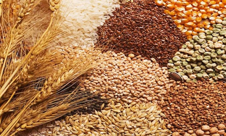 ಆಹಾರ ಭದ್ರತಾ ಯೋಜನೆಗೆ ಹೊಸ ಹೆಸರು; ಕೇಂದ್ರ ಸಂಪುಟದಿಂದ ಅನುಮೋದನೆ