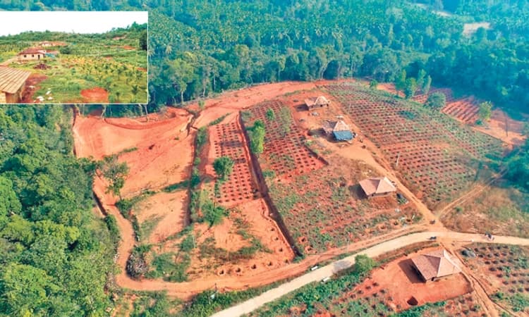 ಹಾಲಾಡಿ ಭತ್ತಗುಳಿಯ ಬಂಜರು ಭೂಮಿಯಲ್ಲಿ ಕೃಷಿ ಕ್ರಾಂತಿ
