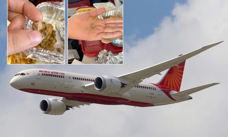 ವಿಮಾನದಲ್ಲಿ ನೀಡಿದ ಆಹಾರದಲ್ಲಿ ಕಲ್ಲು: ಮತ್ತೊಮ್ಮೆ ಟೀಕೆಗೆ ಗುರಿಯಾದ ಏರ್ ಇಂಡಿಯಾ