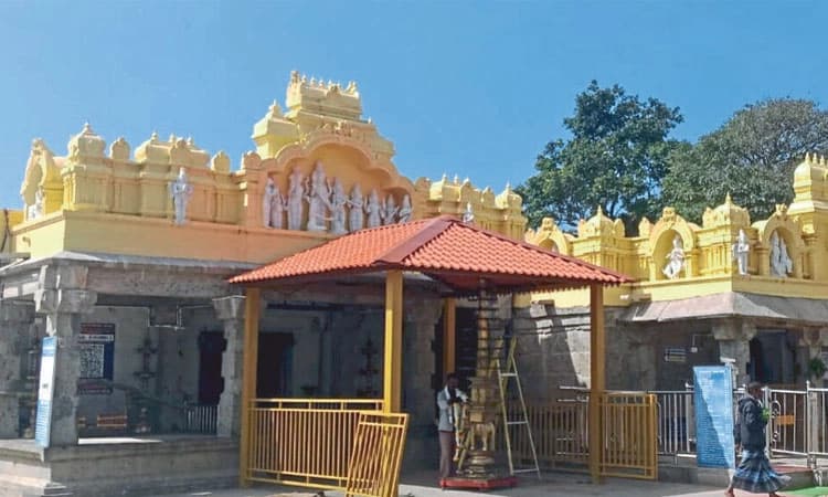 5 ವರ್ಷದ ಬಳಿಕ ಶ್ರೀ ಬಿಳಿಗಿರಿರಂಗನಾಥ ಸ್ವಾಮಿ ಜಾತ್ರೋತವ