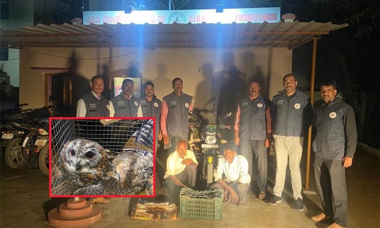 ಕೊಳ್ಳೇಗಾಲ: ಜೀವಂತ ಗೂಬೆ ಸಹಿತ ಇಬ್ಬರನ್ನು ಬಂಧಿಸಿದ ಸಿಐಡಿ ಪೊಲೀಸರು