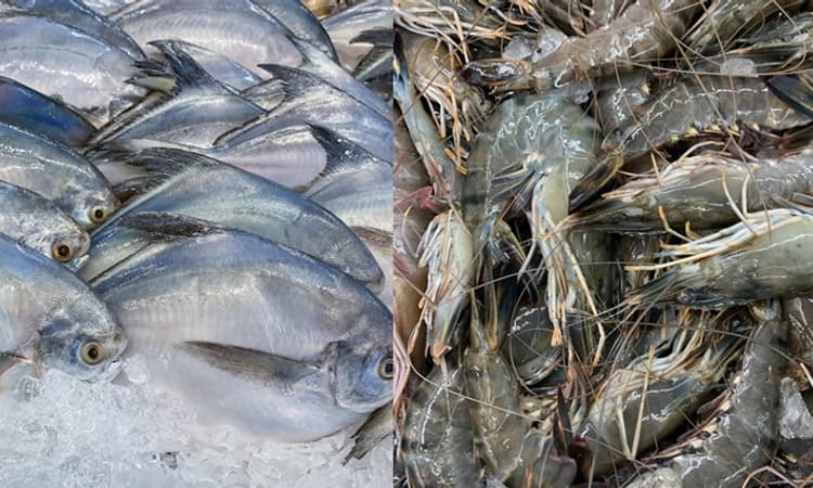 ಉಡುಪಿ: 1,962 ಕೋ.ರೂ. ಮೌಲ್ಯದ ಸಿಗಡಿ ಮತ್ತು ಮೀನು ರಫ್ತು