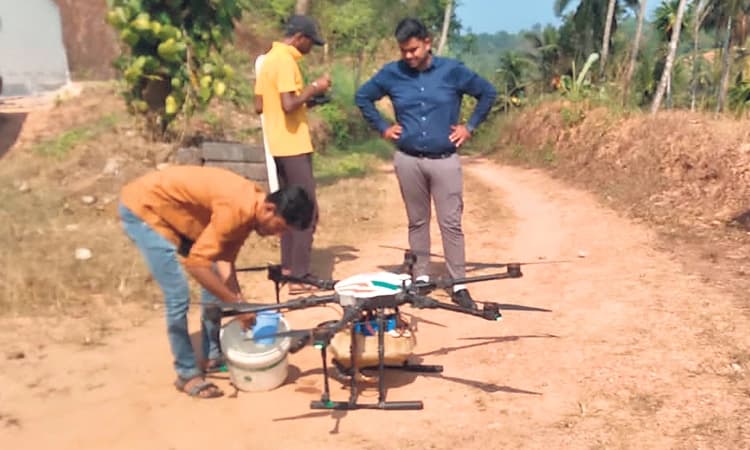 ಡ್ರೋನ್‌ ಮೂಲಕ ಅಡಿಕೆಗೆ ಔಷಧ: ಸುಳ್ಯದಲ್ಲಿ ಪ್ರಥಮ ಪ್ರಯೋಗ