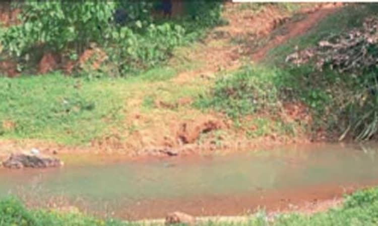 ಪುತ್ತೂರು: ಅನುದಾನವಿದ್ದರೂ ಅಂದ್ರಟ್ಟದಲ್ಲಿ ಸೇತುವೆ ಆಗಿಲ್ಲ