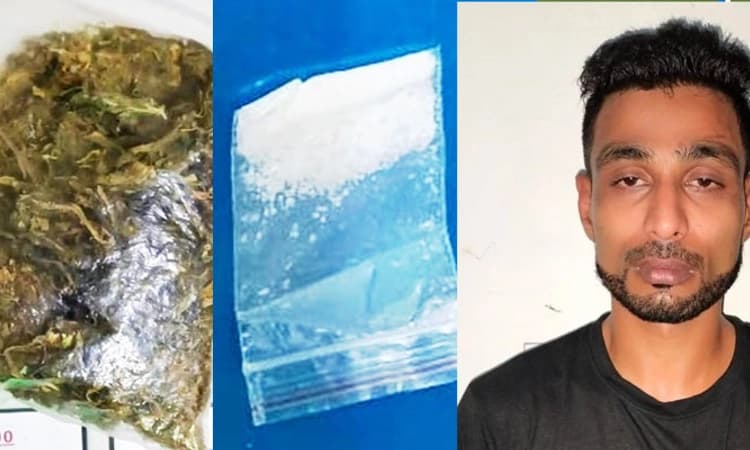 ಮಣಿಪಾಲ: ಗಾಂಜಾ ಪ್ರಕರಣದಲ್ಲಿ ಓರ್ವನ ಬಂಧನ