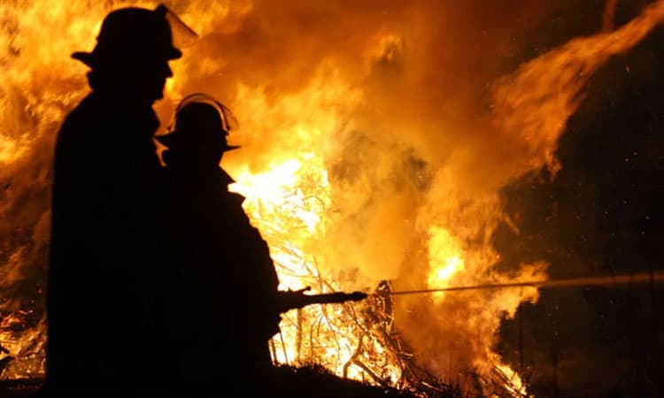 ಫಾರ್ಮಾ ಕಂಪೆನಿ ಲ್ಯಾಬ್‌ ನಲ್ಲಿ ಬೆಂಕಿ ಅವಘಡ: ನಾಲ್ವರು ಕಾರ್ಮಿಕರು ಸಜೀವ ದಹನ