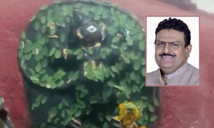 ಬಿಜೆಪಿಯಿಂದ ದೊಡ್ಡನಗೌಡ ಪಾಟೀಲ್ ಗೆಲ್ಲುತ್ತಾರೋ?; ಹನುಮಂತ ಕೊಟ್ಟ ಪ್ರಸಾದ!