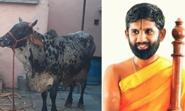 ಹಾಲು ಕೊಡದ ಆಕಳು ಕೊಟ್ಟು ಕಲಬುರ್ಗಿ ರೈತರಿಗೆ ಮೋಸ ಮಾಡಿದರಾ ಸವಿತಾನಂದ ಶ್ರೀ!