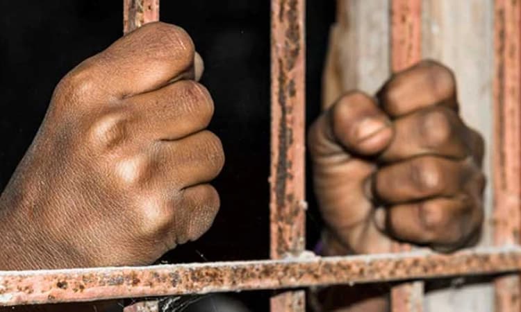 ವಿದ್ಯುತ್ ಕಳ್ಳತನ… ಜೀವ ತೆಗೆಯುವ ಕೃತ್ಯಕ್ಕೆ ಸಮಾನವೇ?; ಆರೋಪಿಗೆ ಸುಪ್ರೀಂನಲ್ಲಿ ರಿಲೀಫ್