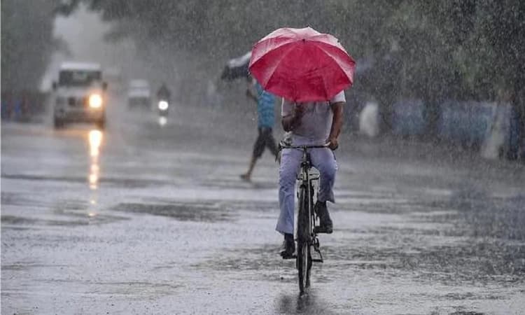 ಮಂಗಳೂರು/ಉಡುಪಿ: ಕರಾವಳಿಗೆ ತಂಪೆರೆದ ಹದವಾದ ಮಳೆ