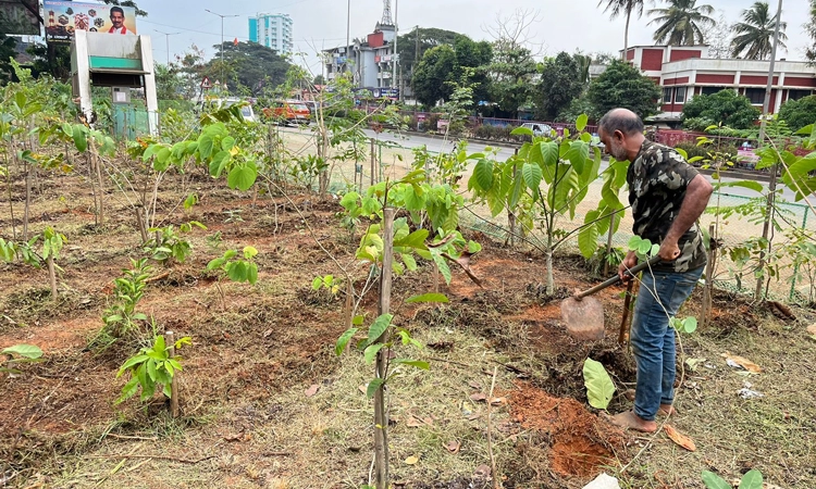 ಅರ್ಬನ್‌ ಫಾರೆಸ್ಟ್‌  ನಿರ್ಮಾಣಕ್ಕೆ ಚಾಲನೆ: ಹಸುರು ಹೊದಿಕೆ ಹೆಚ್ಚಿಸುವ ನಗರ ಅರಣ್ಯ ಪರಿಕಲ್ಪನೆ