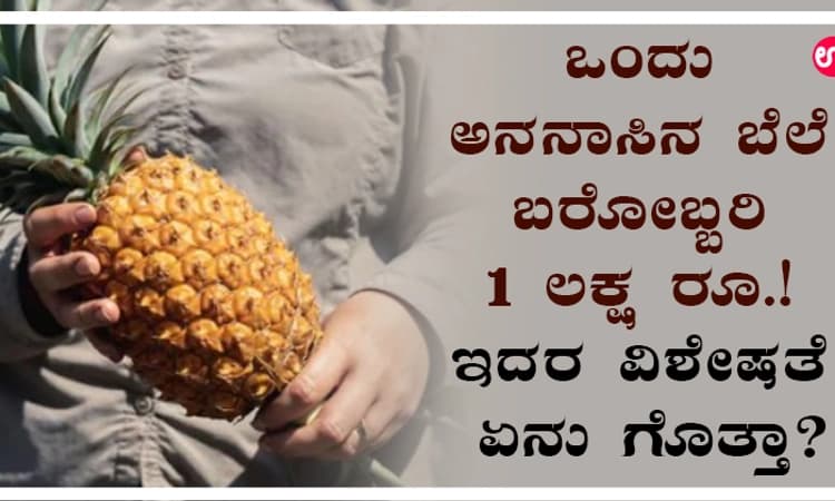 ಒಂದು ಅನನಾಸಿನ ಬೆಲೆ ಬರೋಬ್ಬರಿ 1 ಲಕ್ಷ ರೂ.! ಇದರ ವಿಶೇಷತೆ ಏನು ಗೊತ್ತಾ?