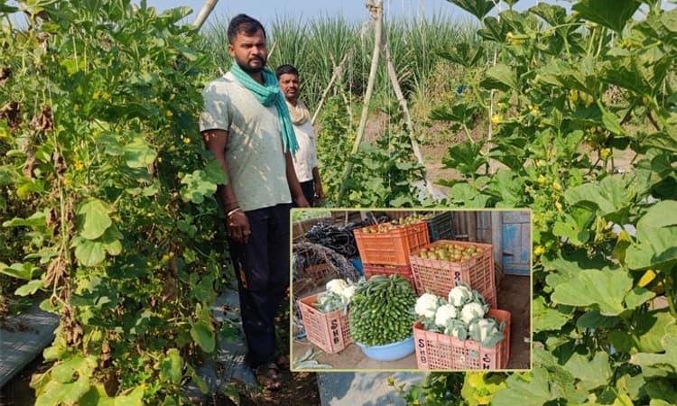 ಒಂದು ಎಕರೆಯಲ್ಲಿ ಲಕ್ಷಾಂತರ ರೂ. ಲಾಭ; ಹೊಸೂರ ರೈತನ ಸಾಧನೆ