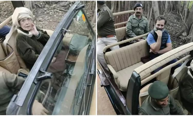 ರಣಥಂಬೋರ್‌ನಲ್ಲಿ ಸೋನಿಯಾ, ರಾಹುಲ್ ಸಫಾರಿ