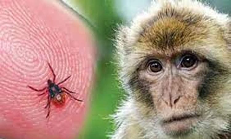 ಮಂಗನ ಕಾಯಿಲೆ ಲಸಿಕೆ ಉತ್ಪಾದನೆ ಸ್ಥಗಿತ!