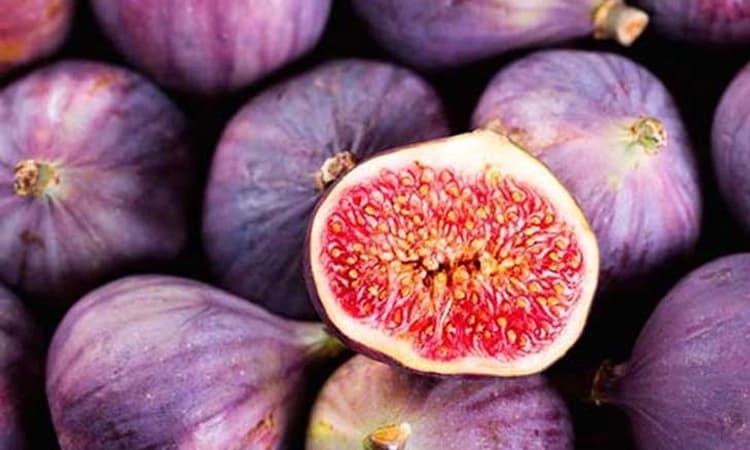 ಅಂಜೂರ ಹಣ್ಣಿನಿಂದಲೂ ವೈನ್‌ ತಯಾರಿ…ತಯಾರಿಕೆ ಹೇಗೆ?