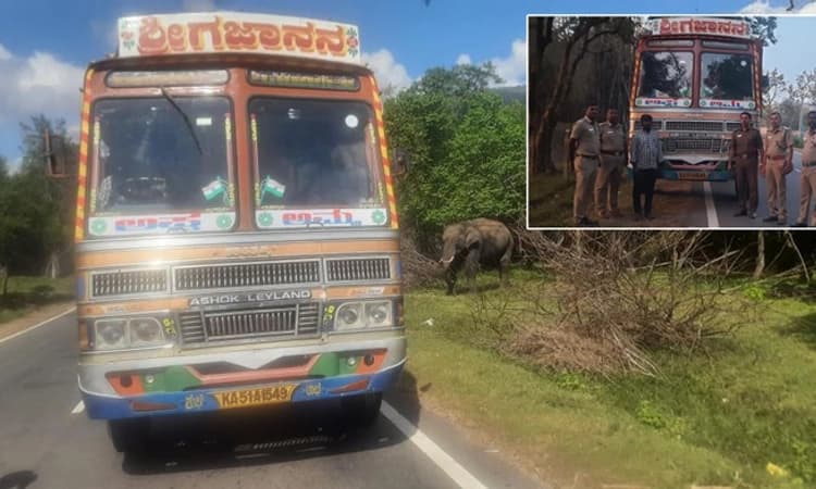 ಕಾಡಾನೆಗೆ ಕಬ್ಬು ನೀಡಲು ಹೋಗಿ 75 ಸಾವಿರ ರೂ. ದಂಡ ಕಟ್ಟಿದ ಲಾರಿ ಚಾಲಕ