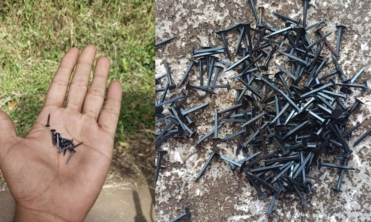 ದತ್ತ ಜಯಂತಿ ಉತ್ಸವಕ್ಕೆ ಅಡ್ಡಿಪಡಿಸುವ ಹುನ್ನಾರ; ದತ್ತಪೀಠದ ರಸ್ತೆ ಉದ್ದಕ್ಕೂ ಮೊಳೆಗಳು