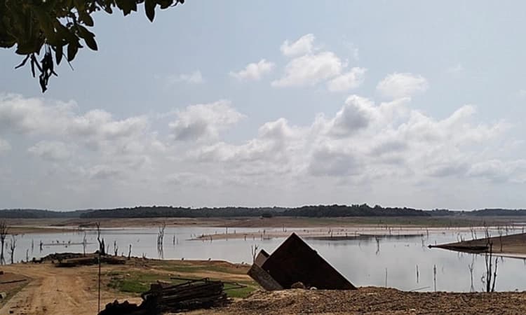 ಸೊರಗಿದ ಲಿಂಗನಮಕ್ಕಿ ನೀರ ಮಟ್ಟ; ಸದ್ಯದಲ್ಲೇ ಓಡಾಟ ನಿಲ್ಲಿಸಲಿದೆ ಹಸಿರುಮಕ್ಕಿ ಲಾಂಚ್